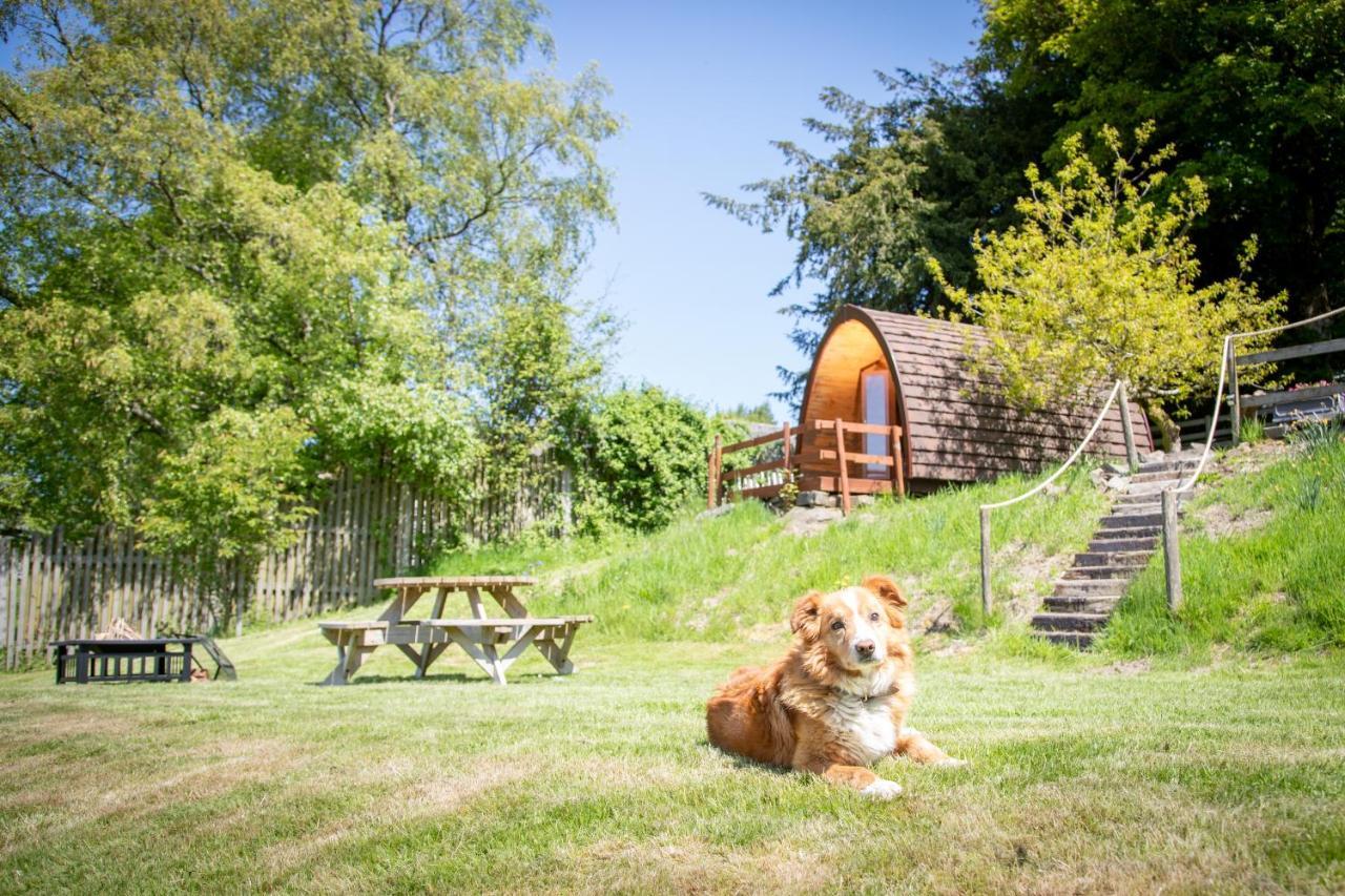 Hotel Ty Grug Pods Bryngwyn Exterior foto